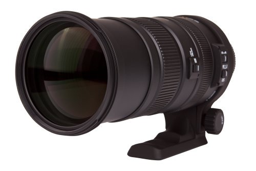 APO 150-500mm F5-6.3 DG OS HSM｜SIGMA 超望遠ズームレンズ キヤノン用 フルサイズ対応  737542｜中古品｜修理販売｜サンクス電機