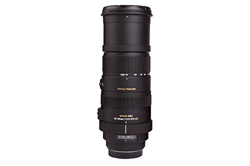 APO 150-500mm F5-6.3 DG OS HSM｜SIGMA 超望遠ズームレンズ