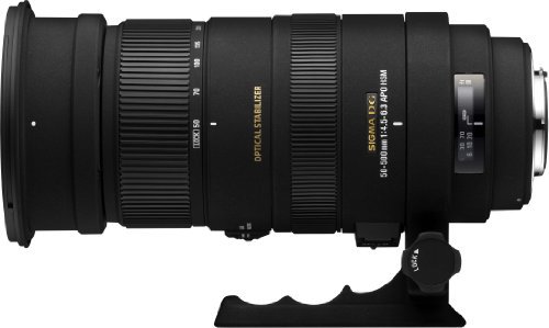 738-C｜SIGMA 超望遠ズームレンズ APO 50-500mm F4.5-6.3 DG OS HSM キヤノン用 フルサイズ対応  738549｜中古品｜修理販売｜サンクス電機