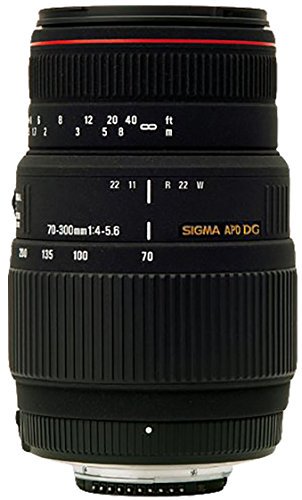 508-C｜SIGMA 望遠ズームレンズ APO 70-300mm F4-5.6 DG MACRO