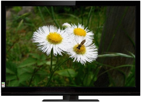 LCT-3205W｜ミツマル MEK 液晶テレビ32型 ブラック ｜中古品｜修理販売｜サンクス電機