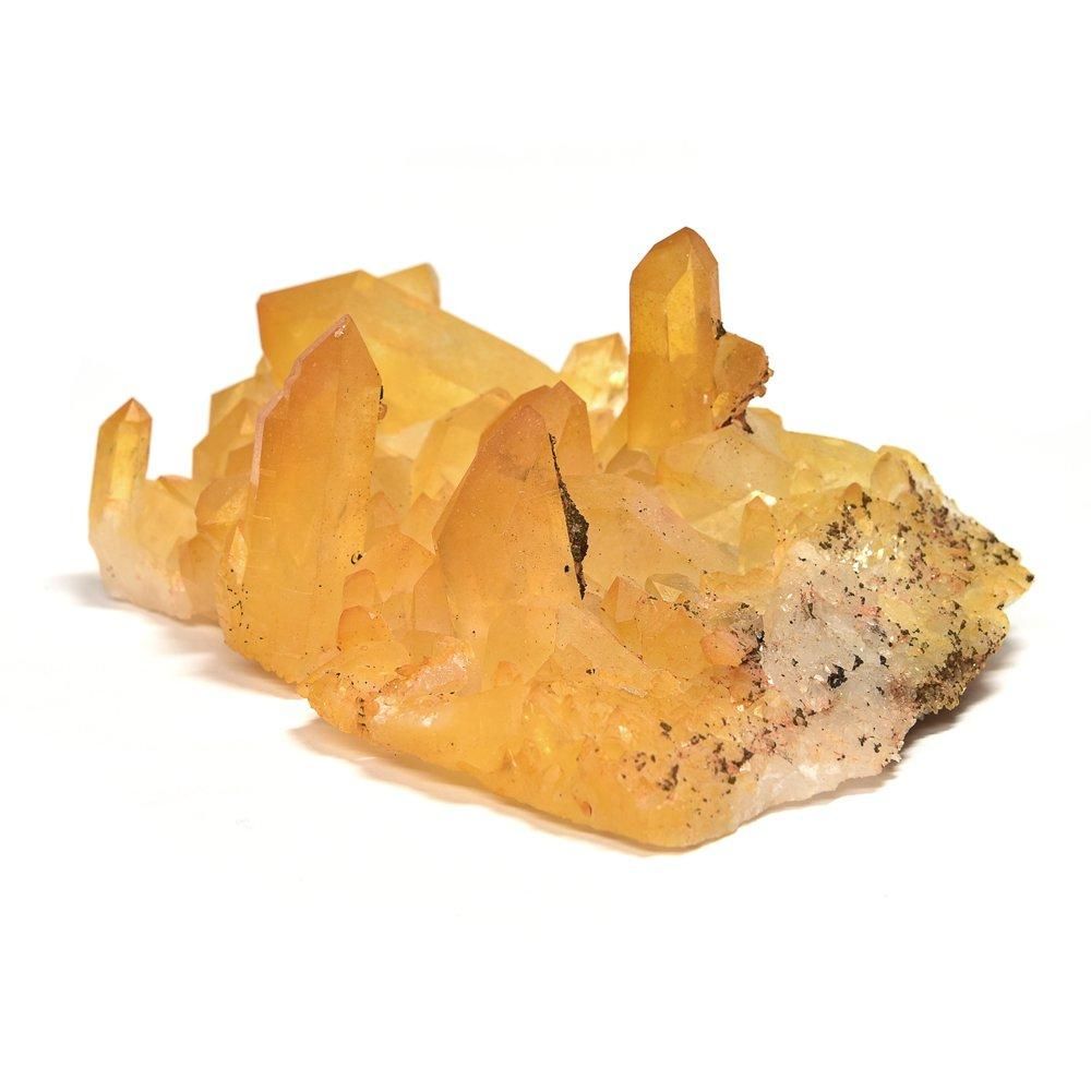 ゴールデンヒーラー ゴールデンヒーラー クラスター （アメリカ アーカンソー州産