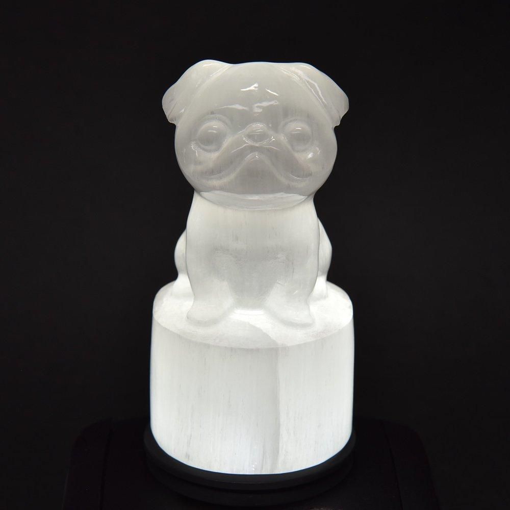 ライオン　石　置物 シュンガイト「ライオン」置物 54x50x23mm #PA046 - プレミアム
