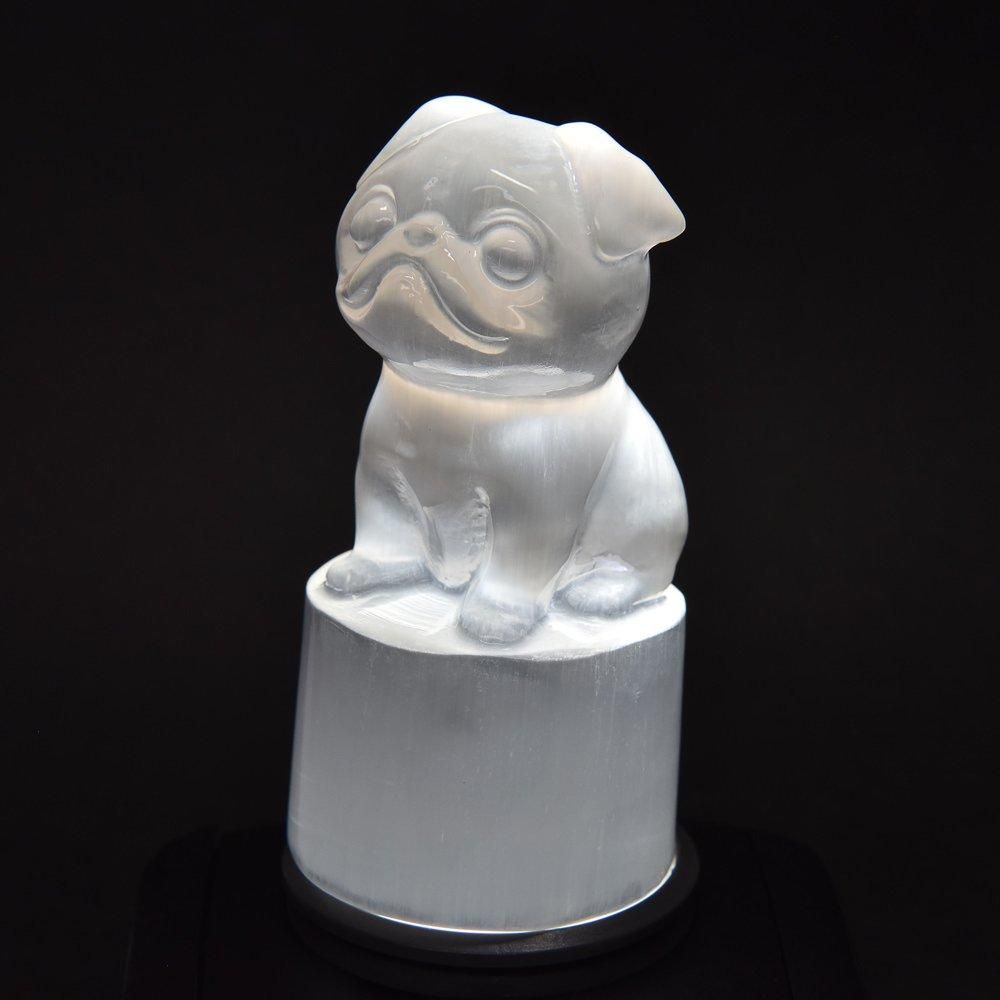 翡翠　セミ彫刻 置物 約10cm Amazon | theory xyz 翡翠 馬 置物 飾彫り台座付 (セオリー