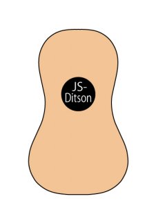 【ボディタイプ】JS-Ditson<br>（12フレット接続）