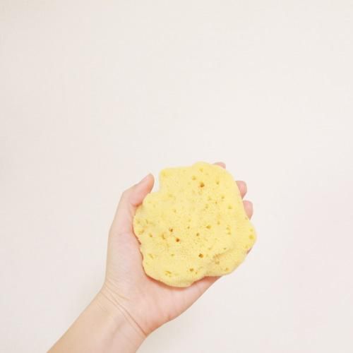 天然海綿 ファインシルクお肌を守りながら洗う心地よさ 海綿スポンジ11