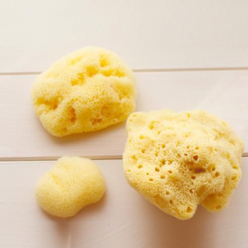 天然海綿 ファインシルクお肌を守りながら洗う心地よさ 海綿スポンジ11
