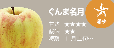 青森から産地直送・通販「青森りんご10月下旬収穫・販売 ぐんま名月（ぐんまめいげつ）」