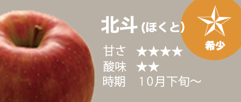 青森から産地直送・通販「青森りんご10月下旬収穫・販売 北斗（ほくと）」
