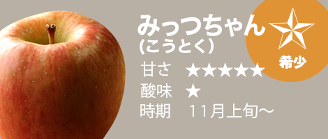 青森から産地直送・通販「青森りんご11月上旬〜収穫 みっつちゃん（こうとく）」