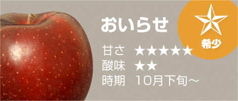 青森りんご10月上旬収穫・販売 おいらせ（奥入瀬）