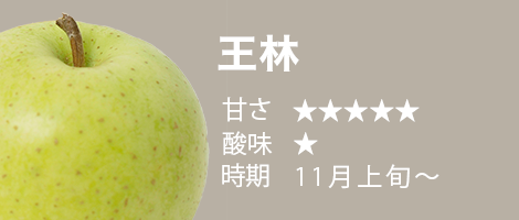 青森から産地直送・通販「青森りんご11月上旬収穫・販売 王林（おうりん）」