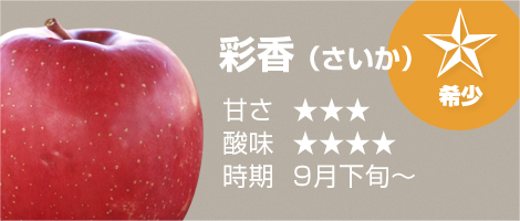 青森りんご9月下旬収穫・販売 彩香（さいか）