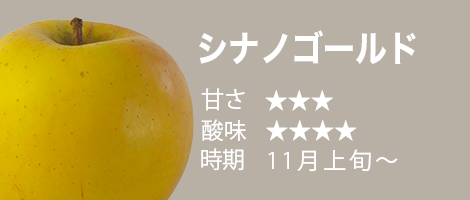 青森りんご10月下旬収穫・販売 シナノゴールド