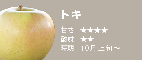 青森りんご10月上旬収穫・販売 トキ
