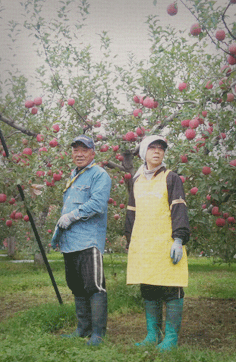 大正時代から続く弘前りんご屋 赤石農園