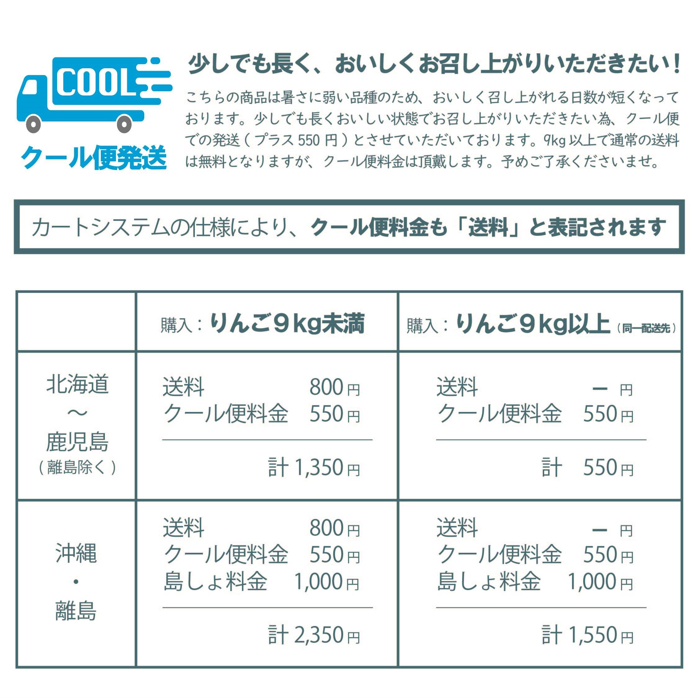 特製木箱A】 詰合せセットLL-L [12-14個入](サンふじと季節の