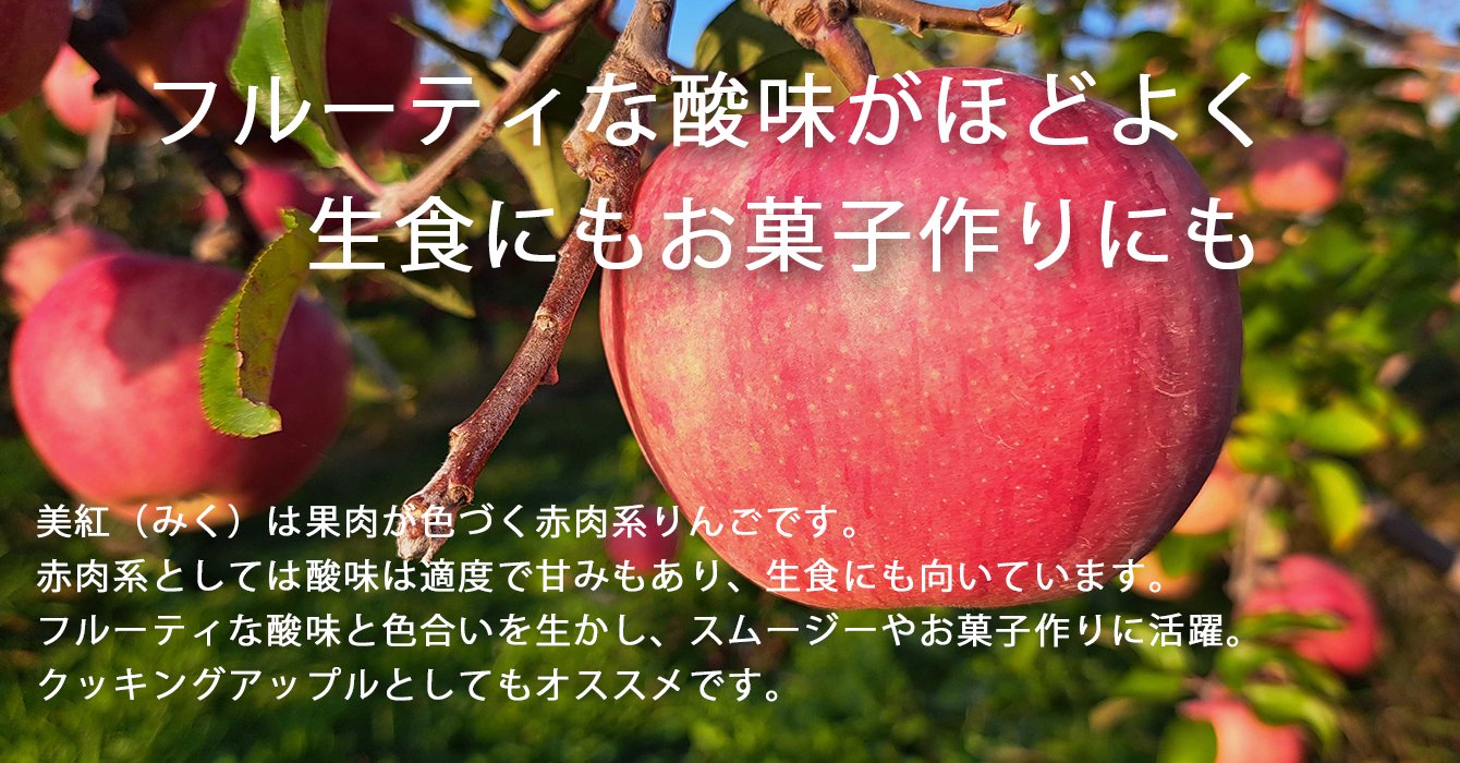 美紅【予約中】 - 葉とらず青森りんご 産地直送・通販 RED APPLE(レッドアップル) [赤石農園]