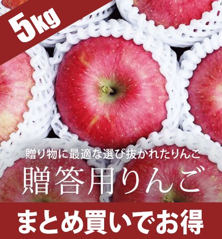 【出荷中】贈答用りんご 5kg（12〜18個）