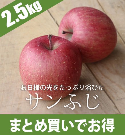 青森りんご サンふじ 2.5kg（6〜10個）