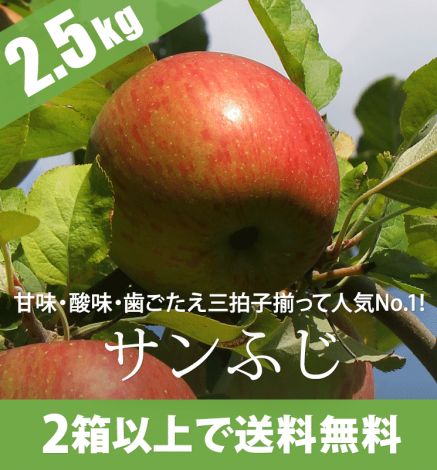 ÀÄ¿¹¤ê¤ó¤´ ¥µ¥ó¤Õ¤¸ 2.5kg¡Ê6¡Á10¸Ä¡Ë