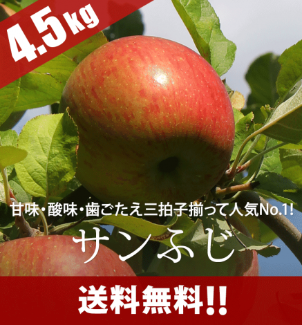 ÀÄ¿¹¤ê¤ó¤´ ¥µ¥ó¤Õ¤¸ 4.5kg¡Ê14¡Á20¸Ä¡Ë