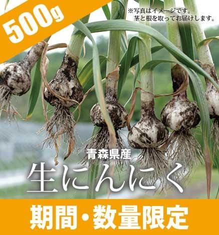 数量限定 青森県産にんにく500g 産地直送 通販 Red Apple レッドアップル 赤石農園