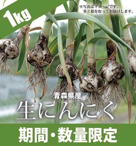 数量限定 青森県産にんにく500g 産地直送 通販 Red Apple レッドアップル 赤石農園