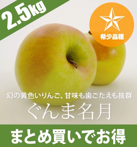 青森りんご ぐんま名月 2.5kg 産地直送通販 RED APPLE（赤石農園 