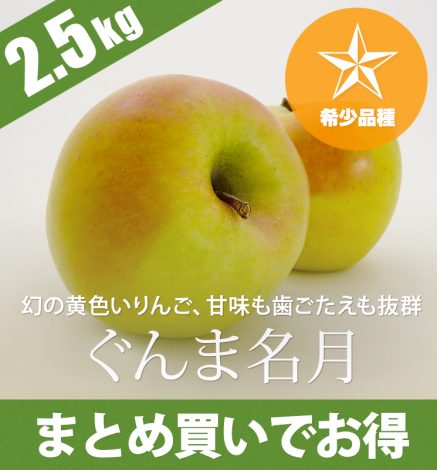 ÀÄ¿¹¤ê¤ó¤´ ¤°¤ó¤Þ̾·î 2.5kg¡Ê6¡Á10¸Ä¡Ë