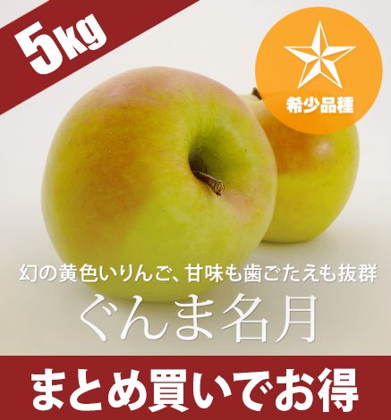 【出荷中】青森りんご ぐんま名月 5kg（12〜20個）