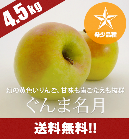 ÀÄ¿¹¤ê¤ó¤´ ¤°¤ó¤Þ̾·î 4.5kg¡Ê12¡Á20¸Ä¡Ë