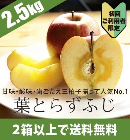 ¡Ú½é²ó¸ÂÄê¡ÛÀÄ¿¹¤ê¤ó¤´ ÍդȤ餺¤Õ¤¸ 2.5kg¡Ê6¡Á10¸Ä¡Ë
