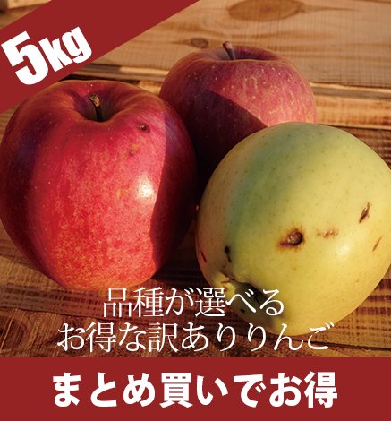 【10月上旬〜】訳あり青森りんご　5kg