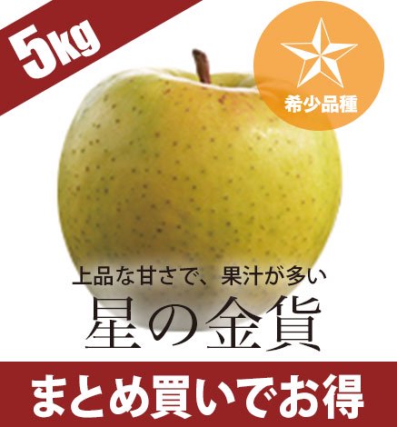 まとめ買いで送料無料】青森りんご 星の金貨 5kg 産地直送・通販 RED