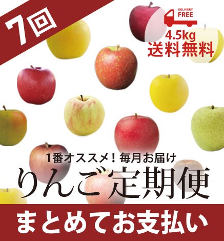 青森りんご定期便 4 5kg 7回コース そのつどお支払い 産地直送 通販 Red Apple レッドアップル 赤石農園