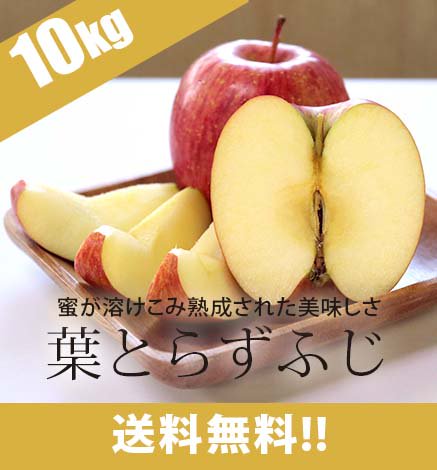【出荷中】青森りんご 葉とらずふじ 10kg（24〜48個）