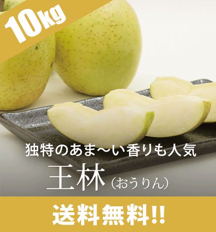 【出荷中】青森りんご 王林（おうりん） 10kg（24〜48個）