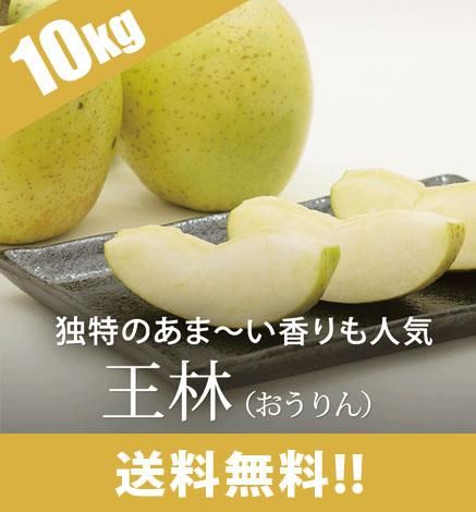 ÀÄ¿¹¤ê¤ó¤´ ²¦Îӡʤª¤¦¤ê¤ó¡Ë 10kg¡Ê24¡Á40¸Ä¡Ë