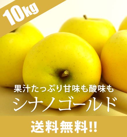 【出荷中】青森りんご シナノゴールド 10kg（24〜48個）