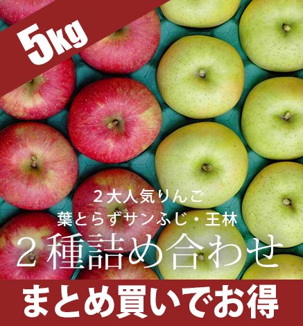 青森りんご 葉とらずサンふじ・王林2種詰め合わせセット 5kg 産地直送・通販 RED APPLE(レッドアップル)[赤石農園]