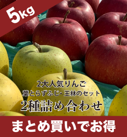 通常用りんご 葉とらずふじ・王林2種詰め合わせ 5kg（12~24個）