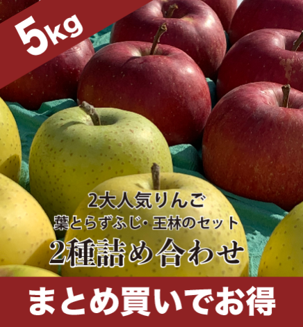 葉とらず青森りんご 産地直送・通販 RED APPLE(レッドアップル) [赤石農園]