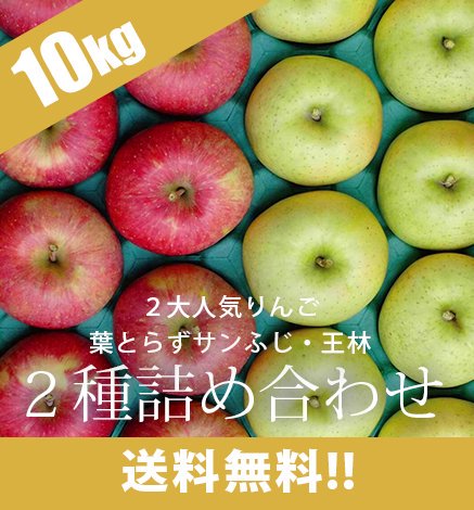 【送料無料】青森りんご 葉とらずサンふじ・王林2種詰め合わせセット 10kg 産地直送・通販 RED APPLE(レッドアップル)[赤石農園]