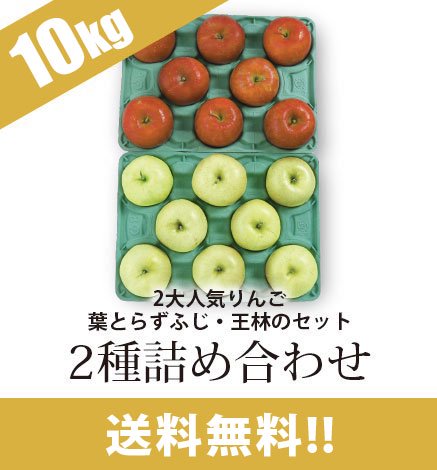 通常品りんご 2種詰め合わせ 10kg（24~40個） (出荷時期：順次発送) 