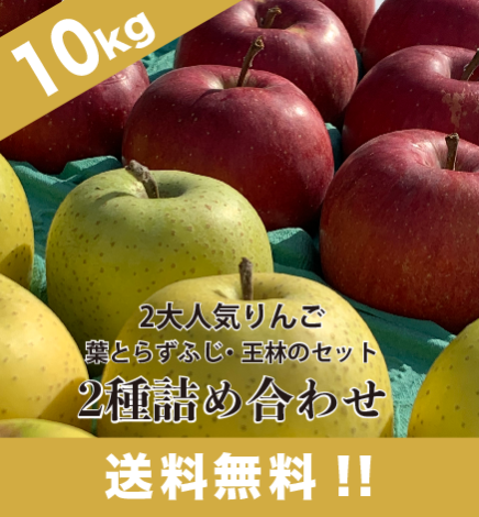 【出荷中】通常用りんご 葉とらずふじ・王林2種詰め合わせ 10kg（24~48個）