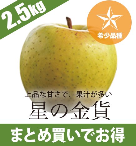 青森りんご 星の金貨2.5kg 産地直送・通販 RED APPLE(レッドアップル