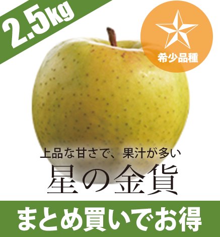 【予約中】青森りんご 星の金貨 2.5kg（7〜12個）希少品種：10月下旬より出荷