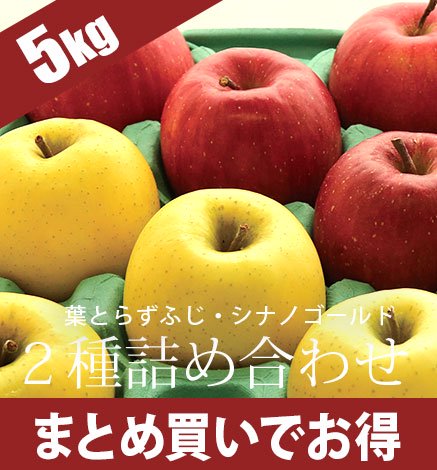 【出荷中】通常品りんご 葉とらずふじ・シナノゴールド2種詰め合わせ 5kg（12~24個）