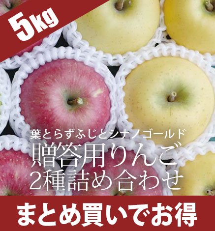 【出荷中】贈答用りんご 葉とらずふじ・シナノゴールド2種詰め合わせ 5kg（12~18個）
